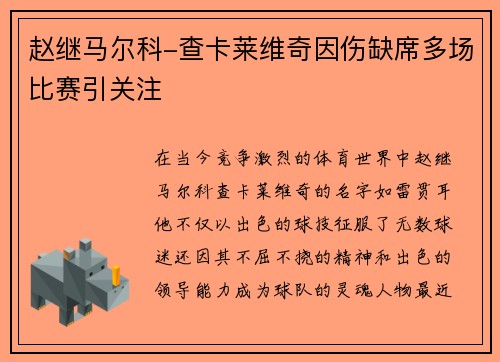 赵继马尔科-查卡莱维奇因伤缺席多场比赛引关注